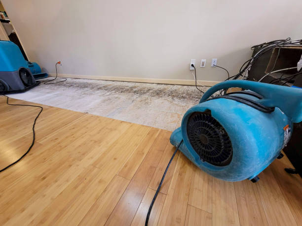 Professional Structural Drying technician working in Jefferson City, TN